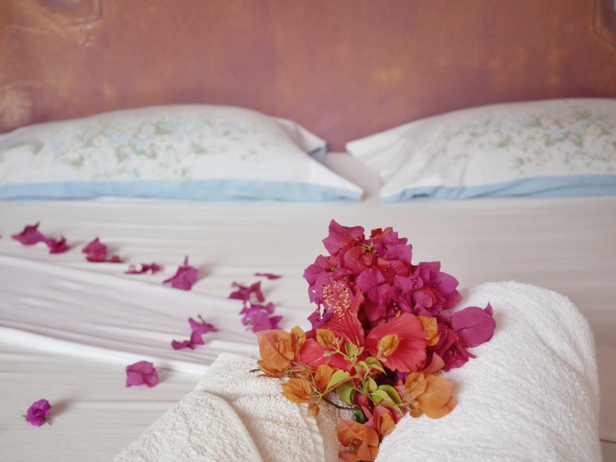 Villa Paje Lounge Zewnętrze zdjęcie